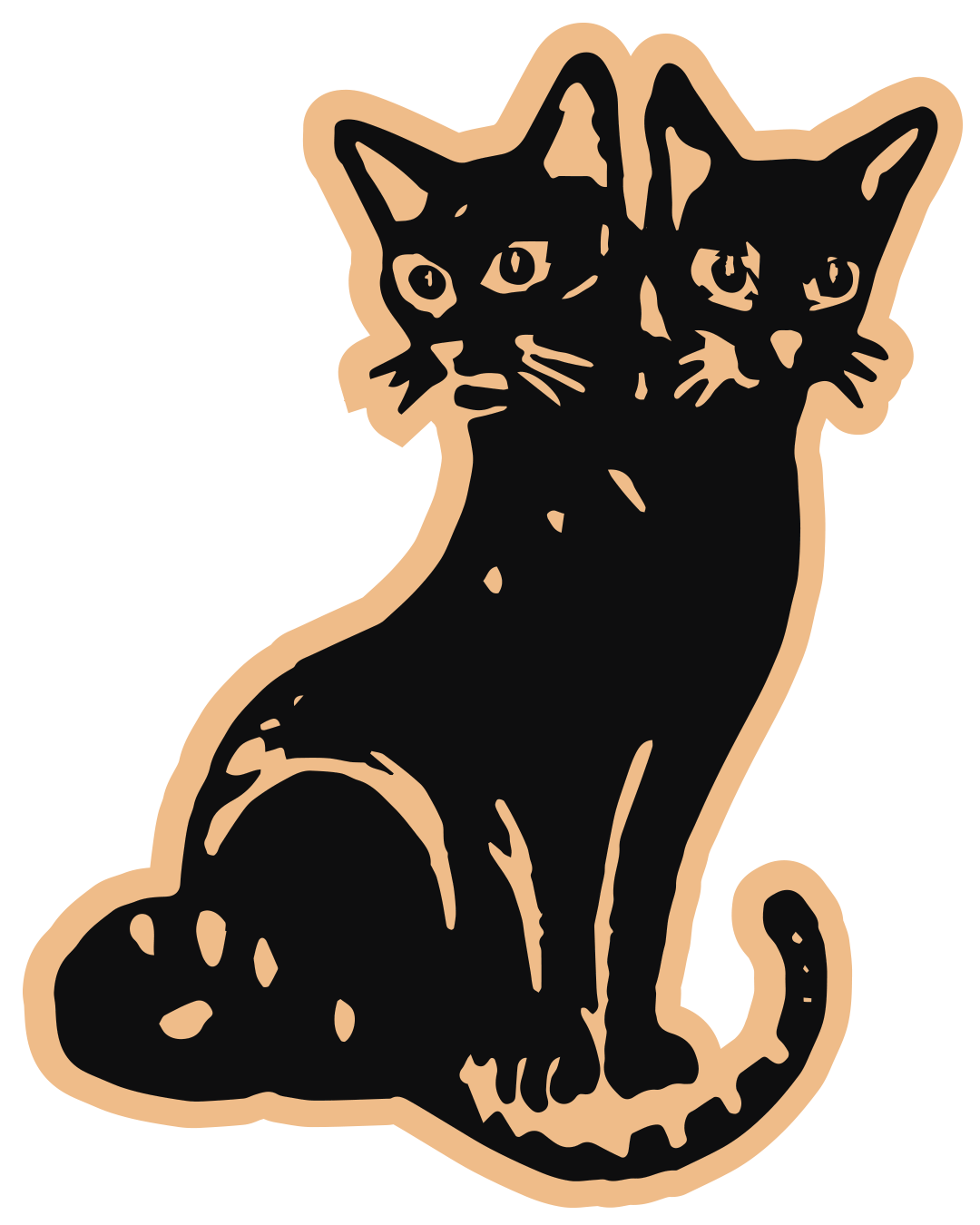 LARRY — the two-headed cat