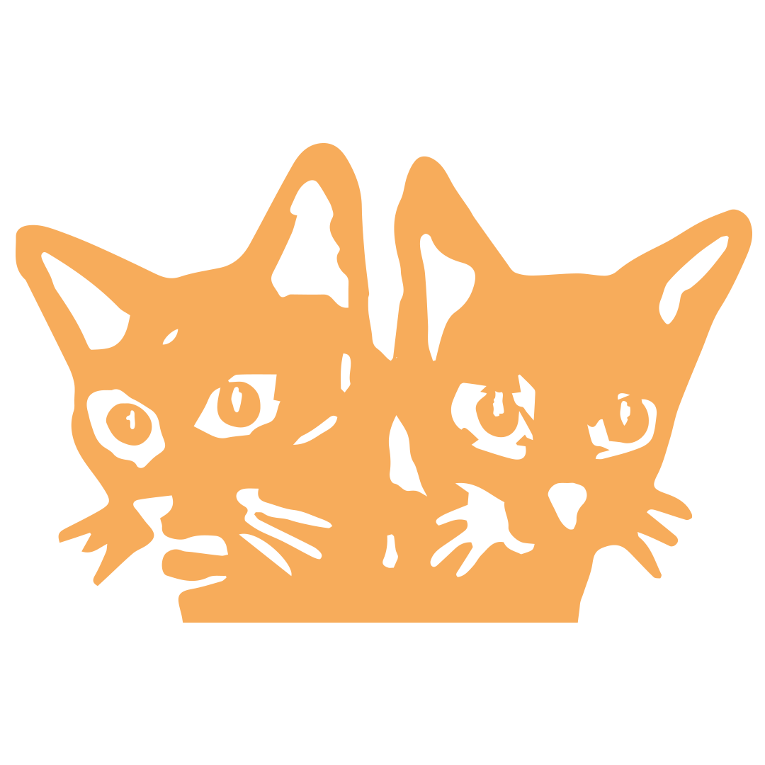 LARRY — the two-headed cat